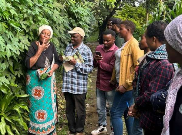 Member Highlight: Mama Shujaa's Journey with ECHO East Africa